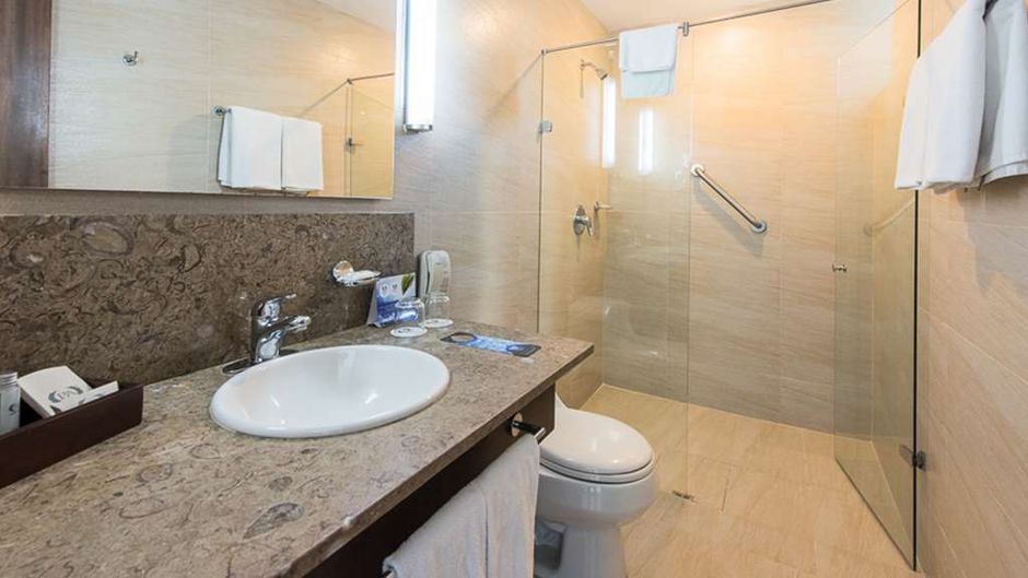 Hotel Poblado Alejandria Room