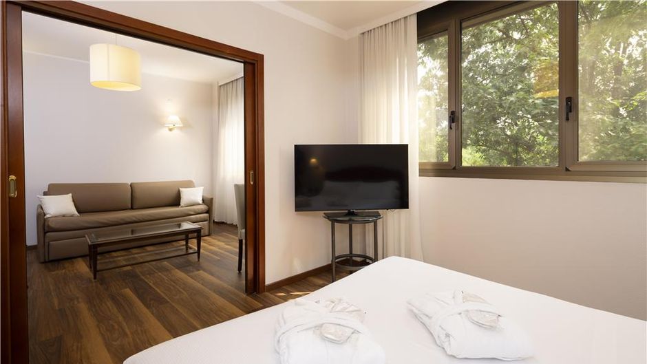 Best Western Air Hotel Linate Suite