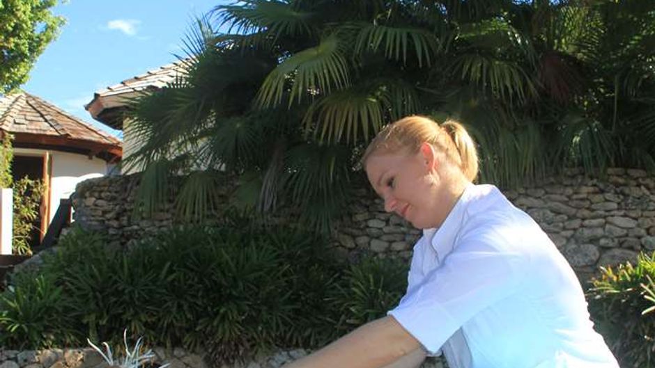 Lions Dive & Beach Resort Other