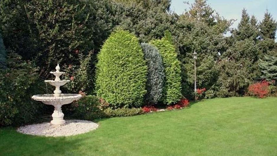 Garten-Hotel Ponick Other