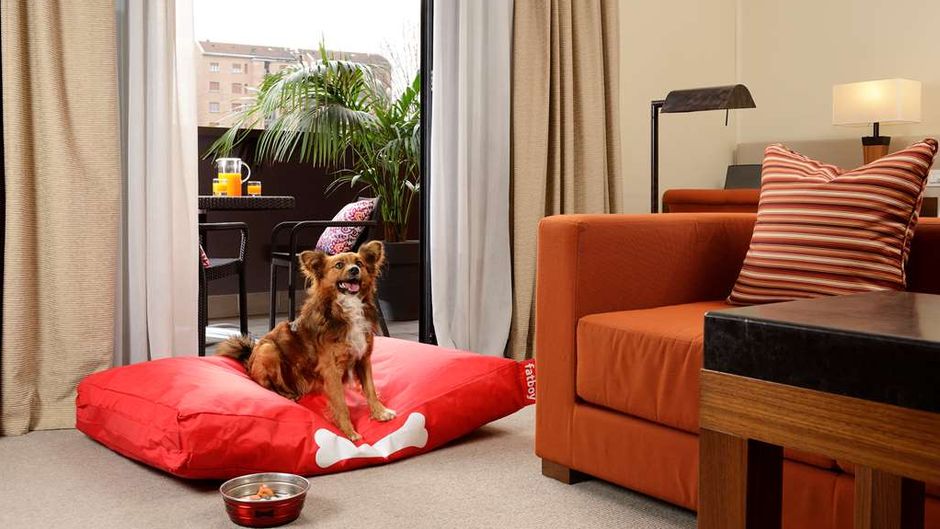 Milan Suite Hotel Other