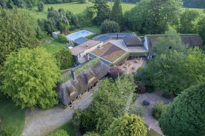 Le Petit Coq aux Champs