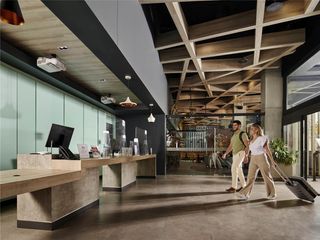 Ibis Torreon