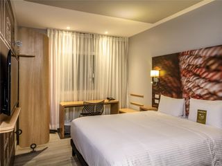 Ibis Quito