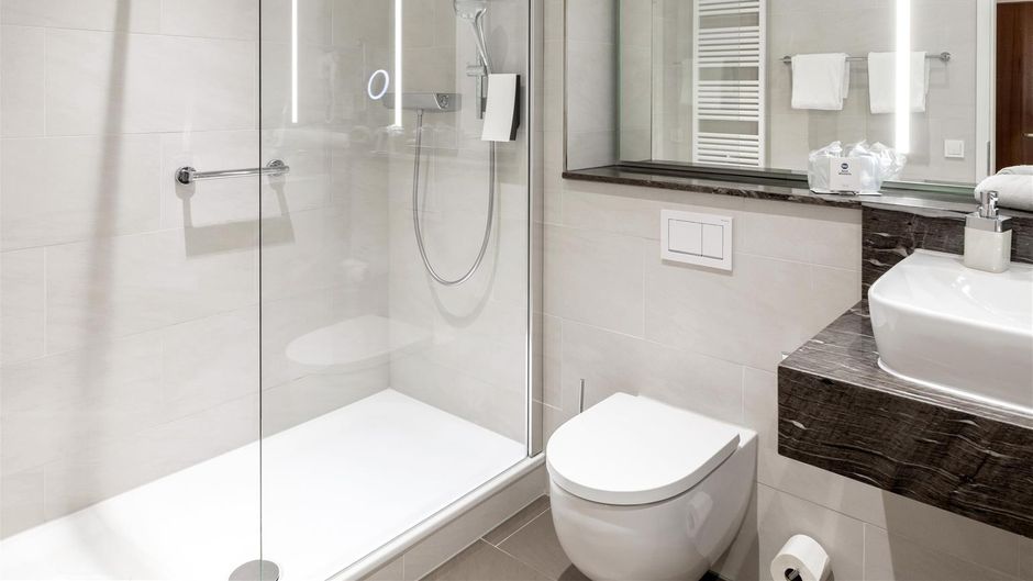 Best Western Hotel Dreilaenderbruecke Room