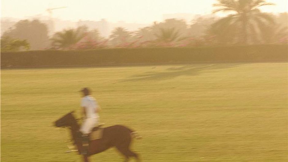 Melia Desert Palm Health