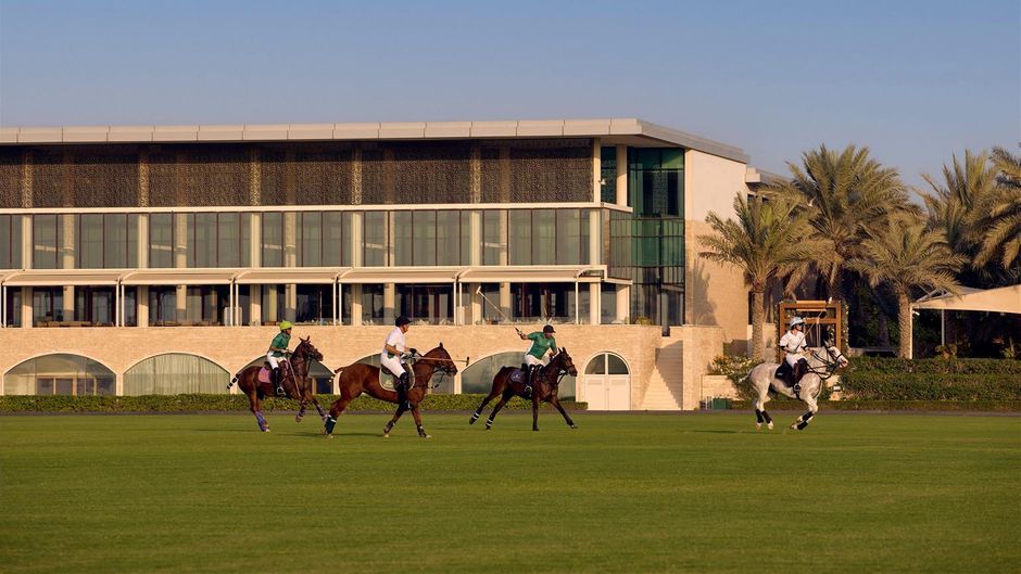 Melia Desert Palm Health
