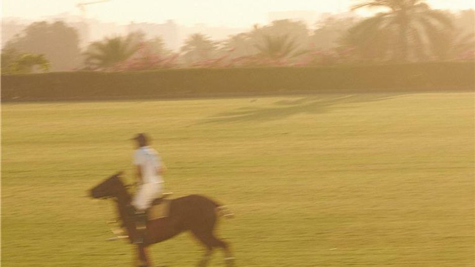 Melia Desert Palm Health