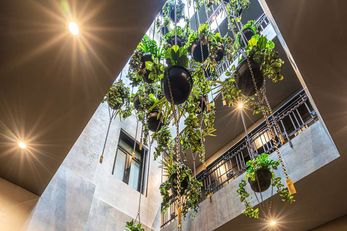 Umbral, Curio Collection by Hilton