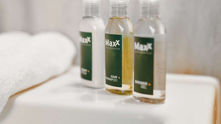 MAXX by Steigenberger Vienna Other
