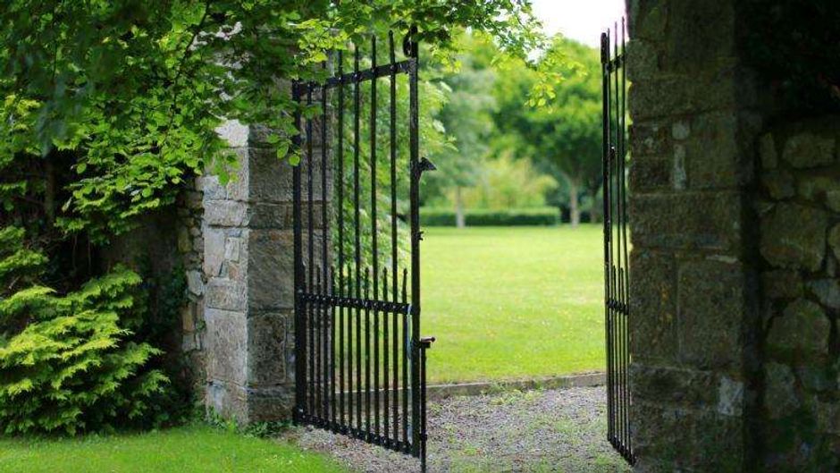 Barberstown Castle Other
