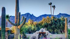 Hacienda Del Sol Guest Ranch Resort