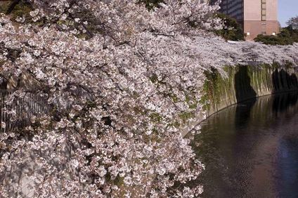 Hotel Chinzanso Tokyo