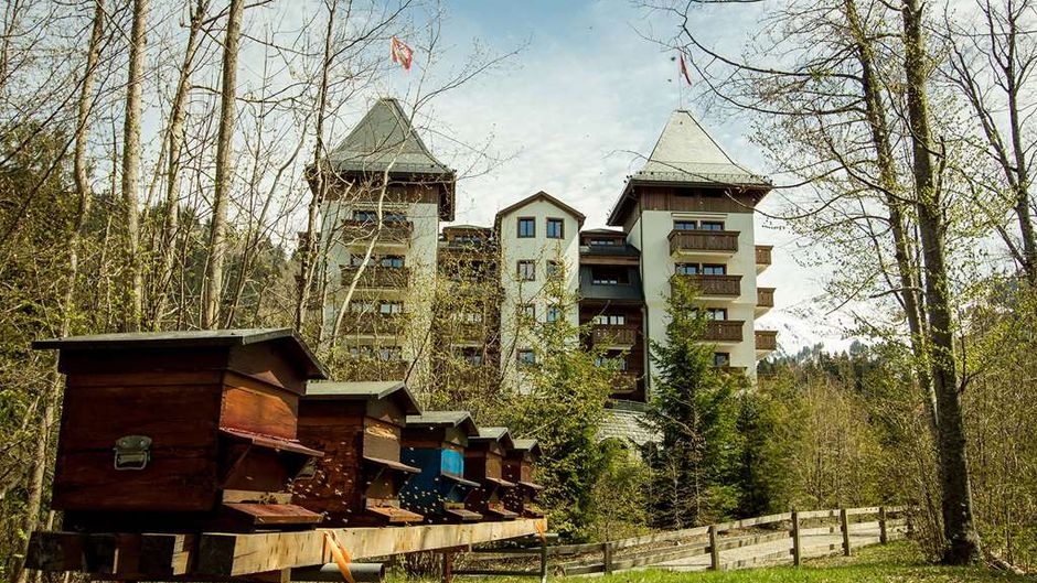 The Alpina Gstaad Other