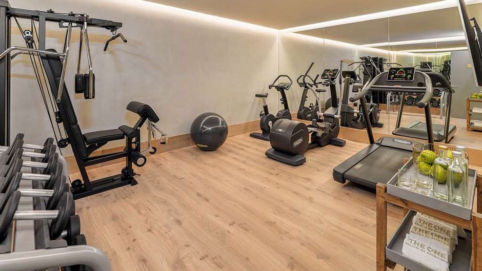 The One Palacio de Anunciada Health