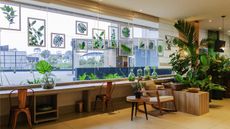 Ibis Styles Curitiba Aeroporto