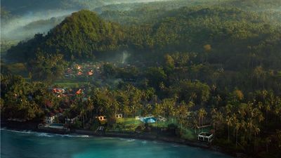Alila Manggis