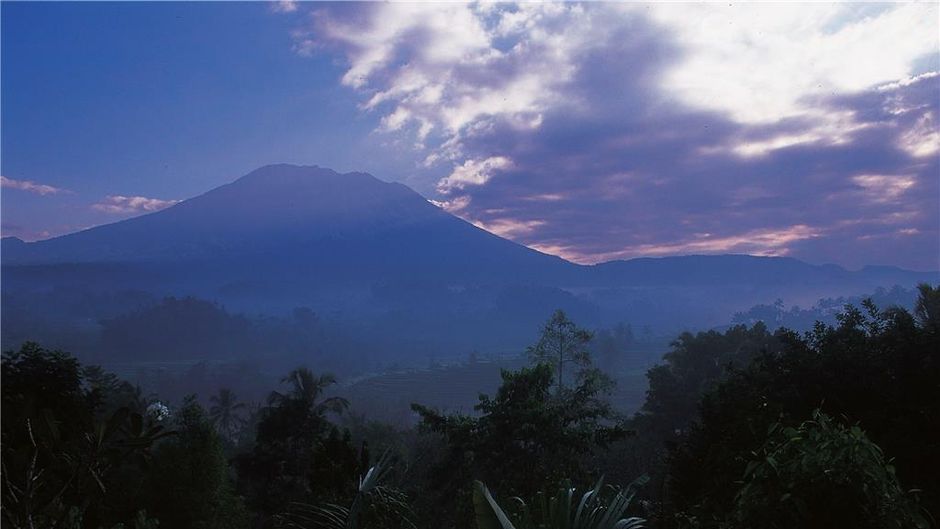 Alila Manggis Other