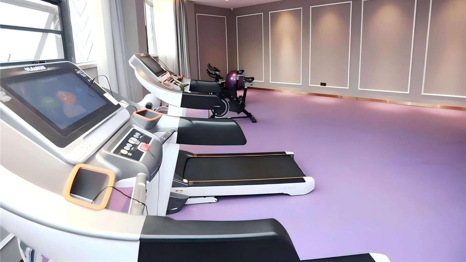 Mercure Wuhan Yangluo Health