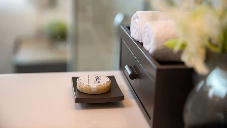 Radisson Chongqing South Hot Spring Room