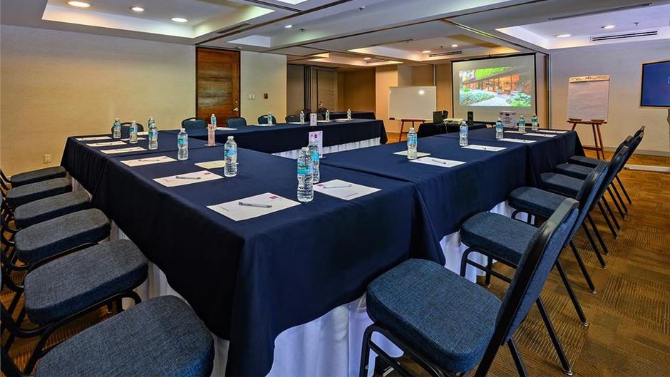 Las Suites Campos Eliseos Meeting