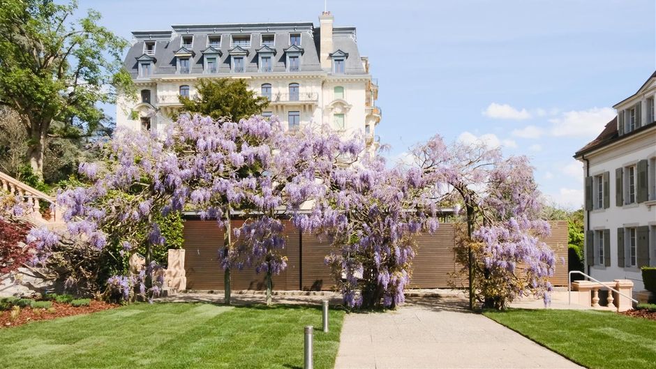 Hotel Angleterre & Residence Exterior