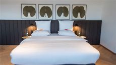 Hotel Maximilian's
