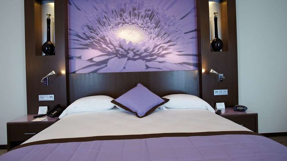 Hotel Riu Plaza Guadalajara Other