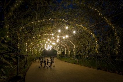 Boeira Garden Hotel Porto, Curio Coll