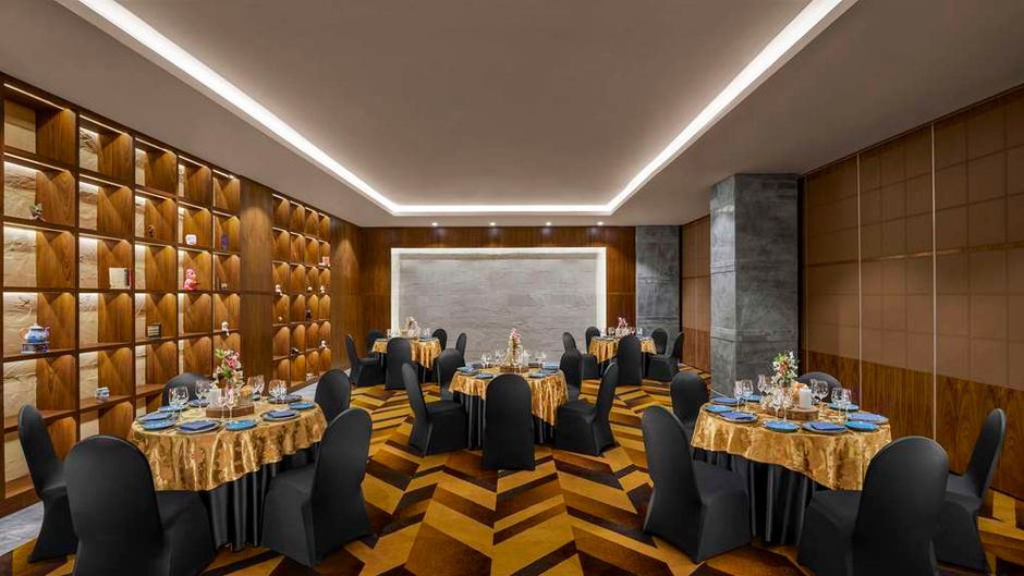 Hyatt Centric Janakpuri New Delhi Meeting
