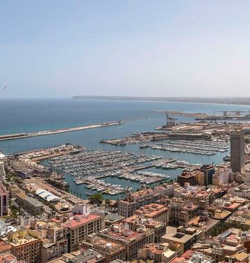 Occidental Alicante