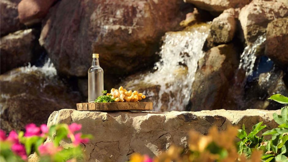 Moevenpick Resort & Spa El Gouna Meeting