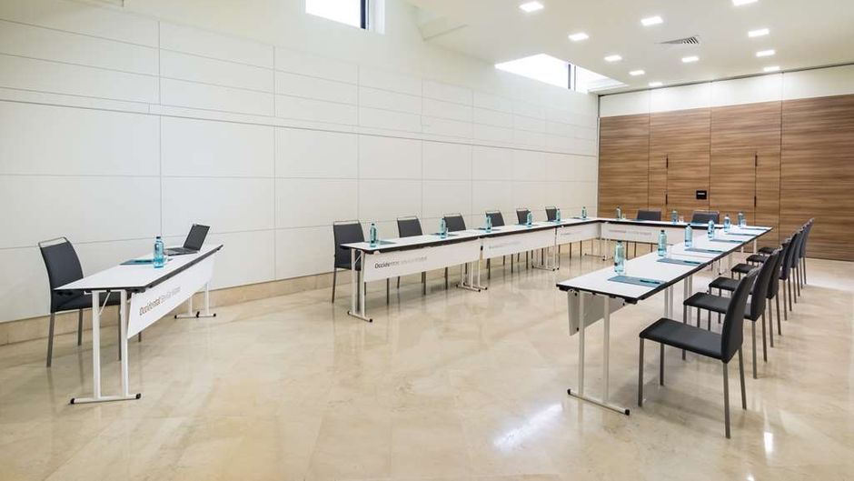 Occidental Sevilla Viapol Meeting