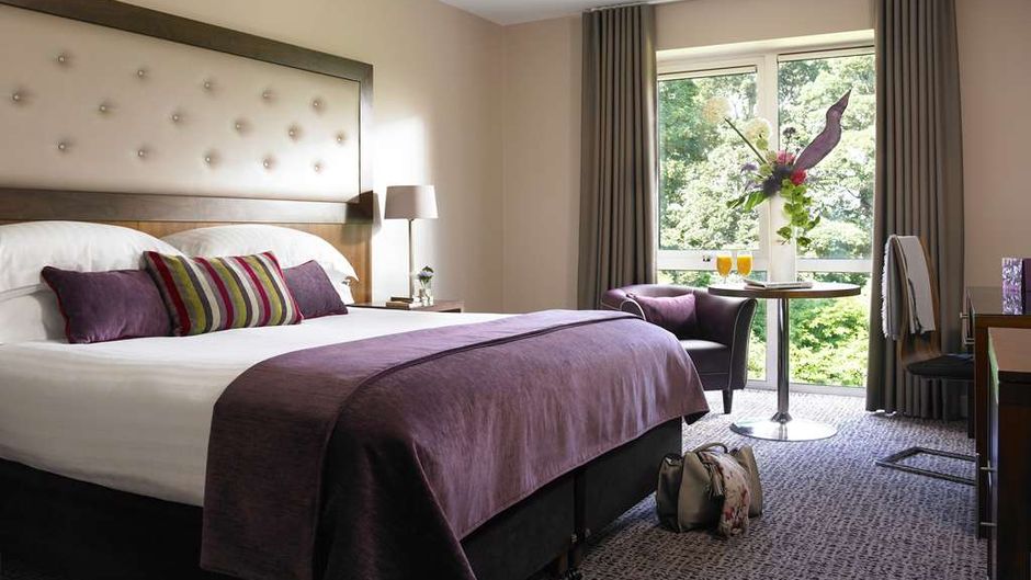 Dunboyne Castle Hotel and Spa Room