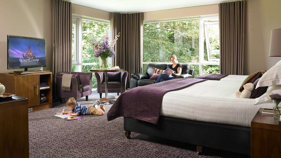 Dunboyne Castle Hotel and Spa Room
