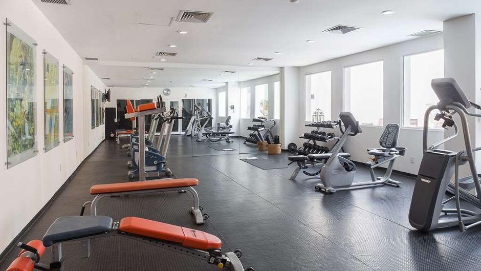 HS HOTSSON Smart Leon Centro Max Health