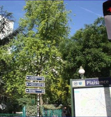 Hotel Le 55 Montparnasse