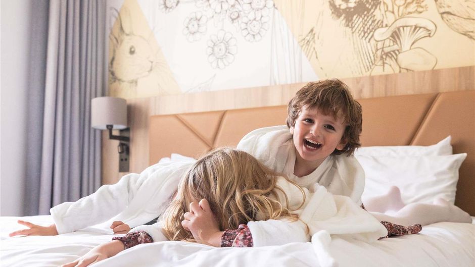 Mercure Han-sur-Lesse Room