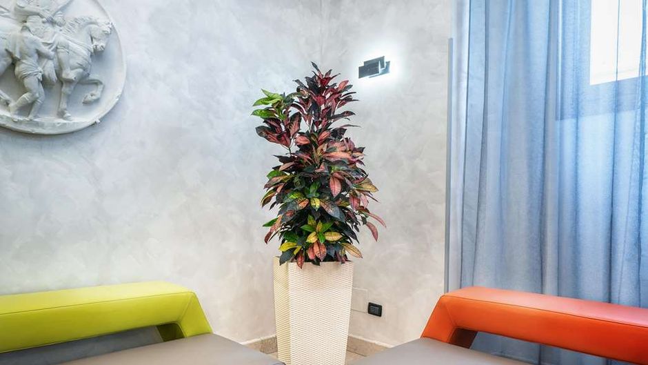 Hotel Varese Rome Lobby
