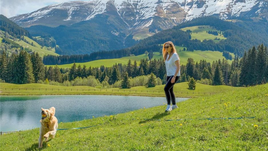 Novotel Megeve Mont Blanc Other