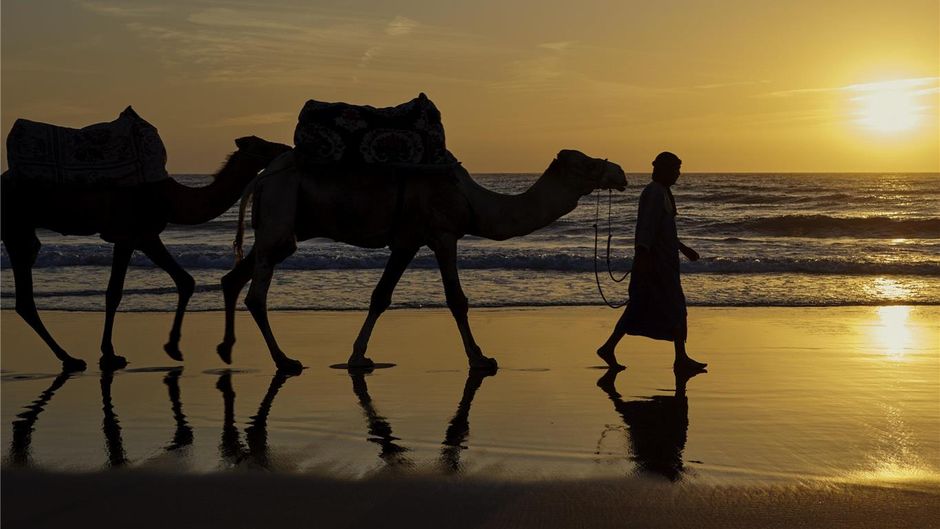 Fairmont Taghazout Bay Other