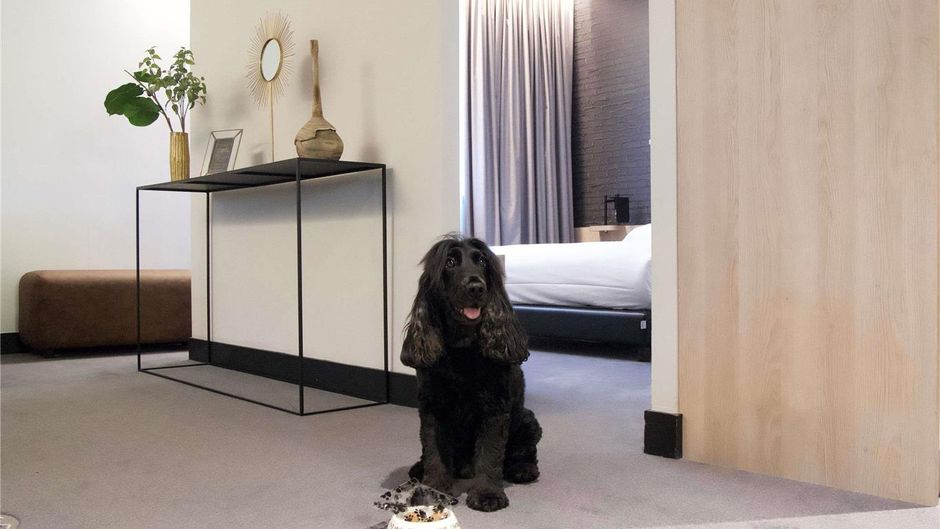 Ibis Styles Centre Arras Other