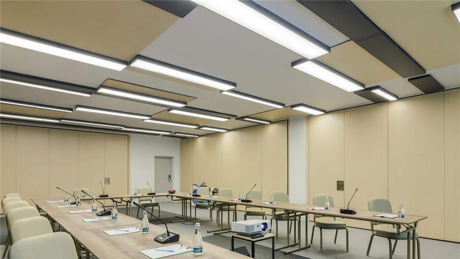 Ibis Timisoara City Center Meeting