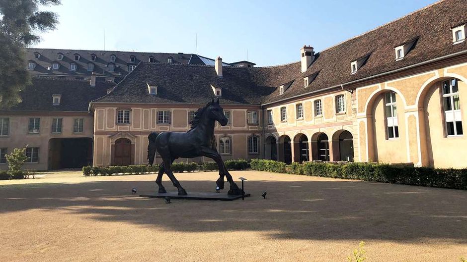 Hotel Les Haras Exterior