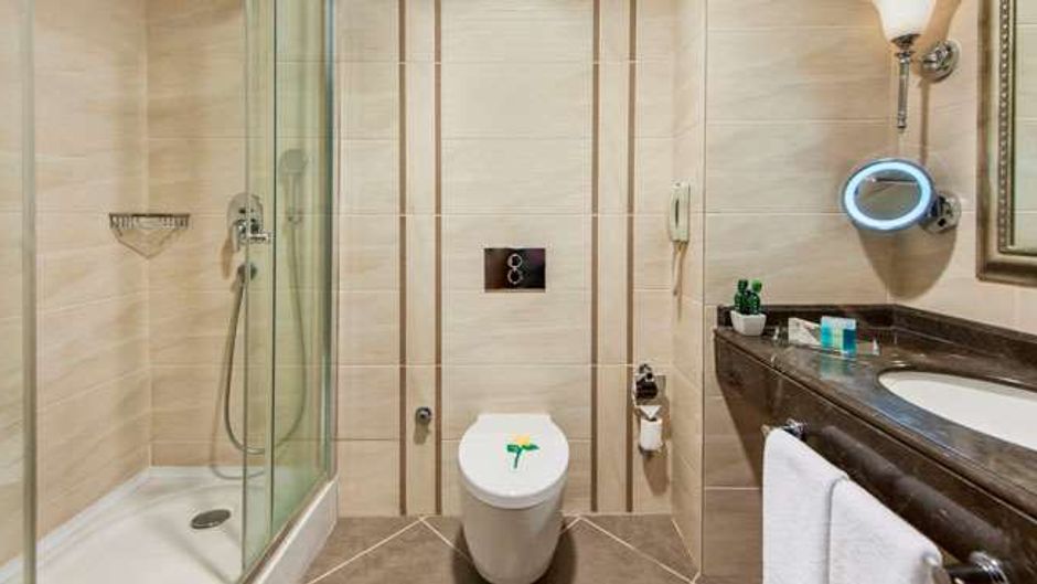 Elite World Van Hotel Room