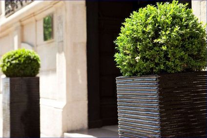 Hotel le 5 Particulier