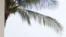 Al Baleed Resort Salalah by Anantara