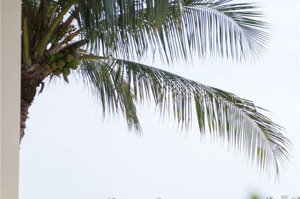 Al Baleed Resort Salalah by Anantara