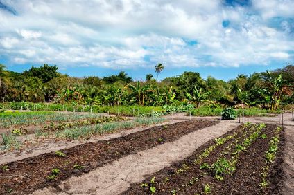 Anantara Bazaruto Island Resort