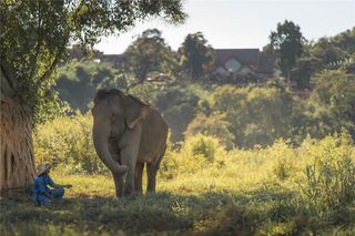 Anantara Golden Triangle Elephant Camp